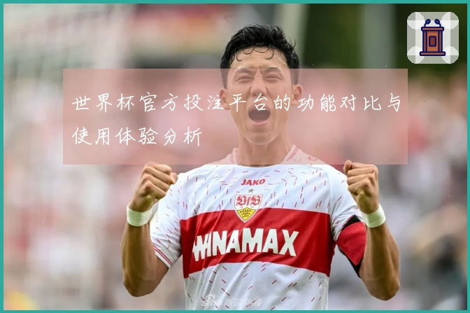 世界杯官方投注平台的功能对比与使用体验分析
