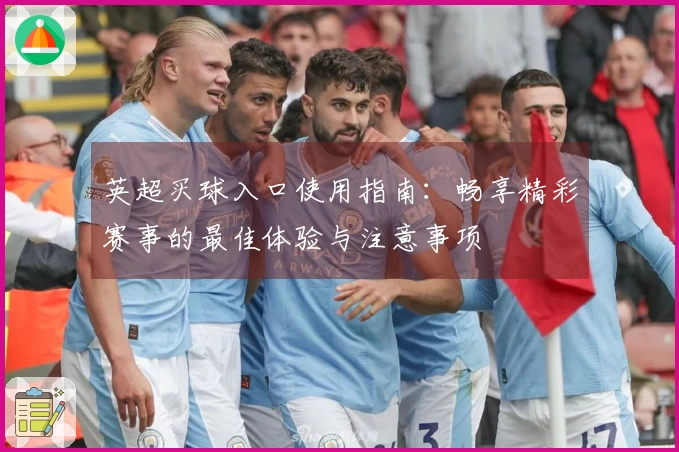 英超买球入口使用指南：畅享精彩赛事的最佳体验与注意事项