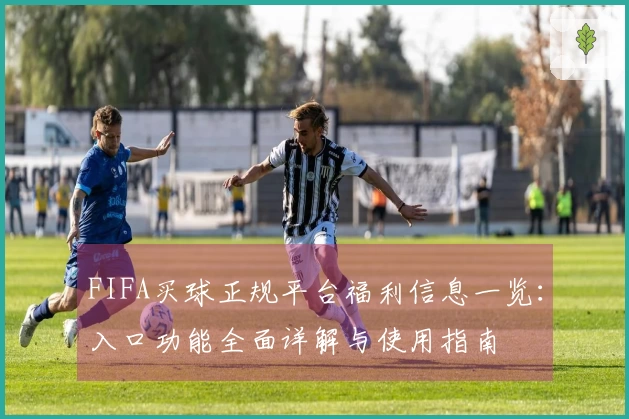 FIFA买球正规平台福利信息一览：入口功能全面详解与使用指南