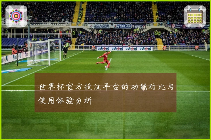 世界杯官方投注平台的功能对比与使用体验分析