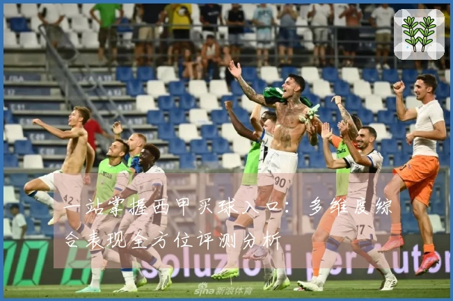 一站掌握西甲买球入口：多维度综合表现全方位评测分析