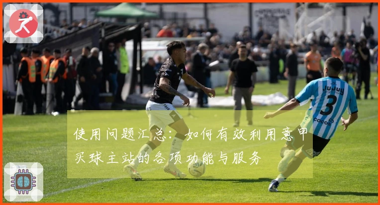 使用问题汇总：如何有效利用意甲买球主站的各项功能与服务